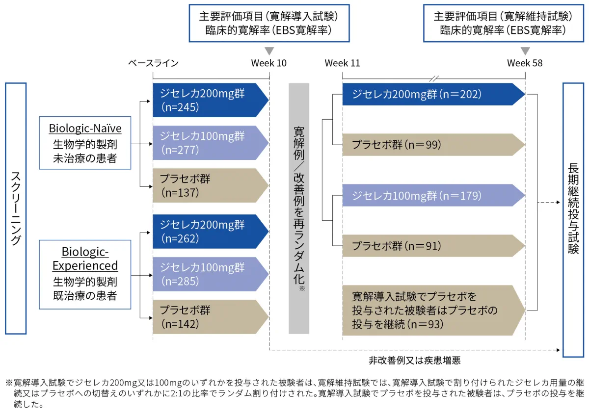 中等症から重症の活動性潰瘍性大腸炎患者における国際共同第Ⅱb/Ⅲ相試験：試験デザイン